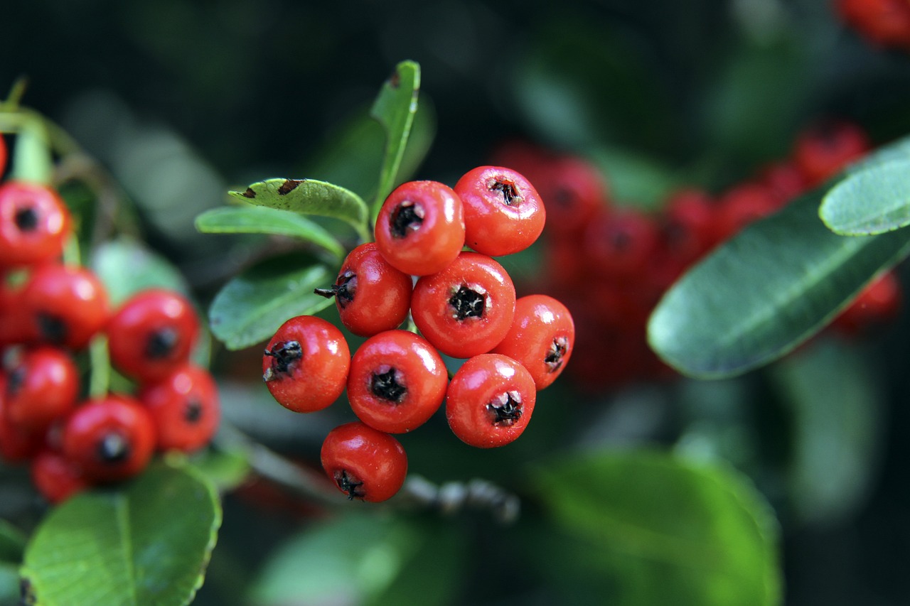 🥳哈登常规赛总得分达到28290分，超越安东尼跻身历史前十！