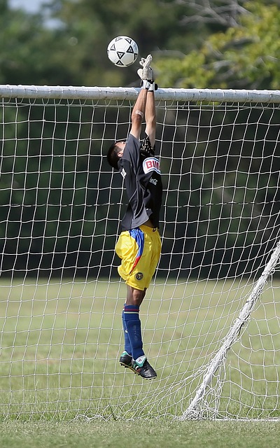 各联赛单赛季进球纪录保持者